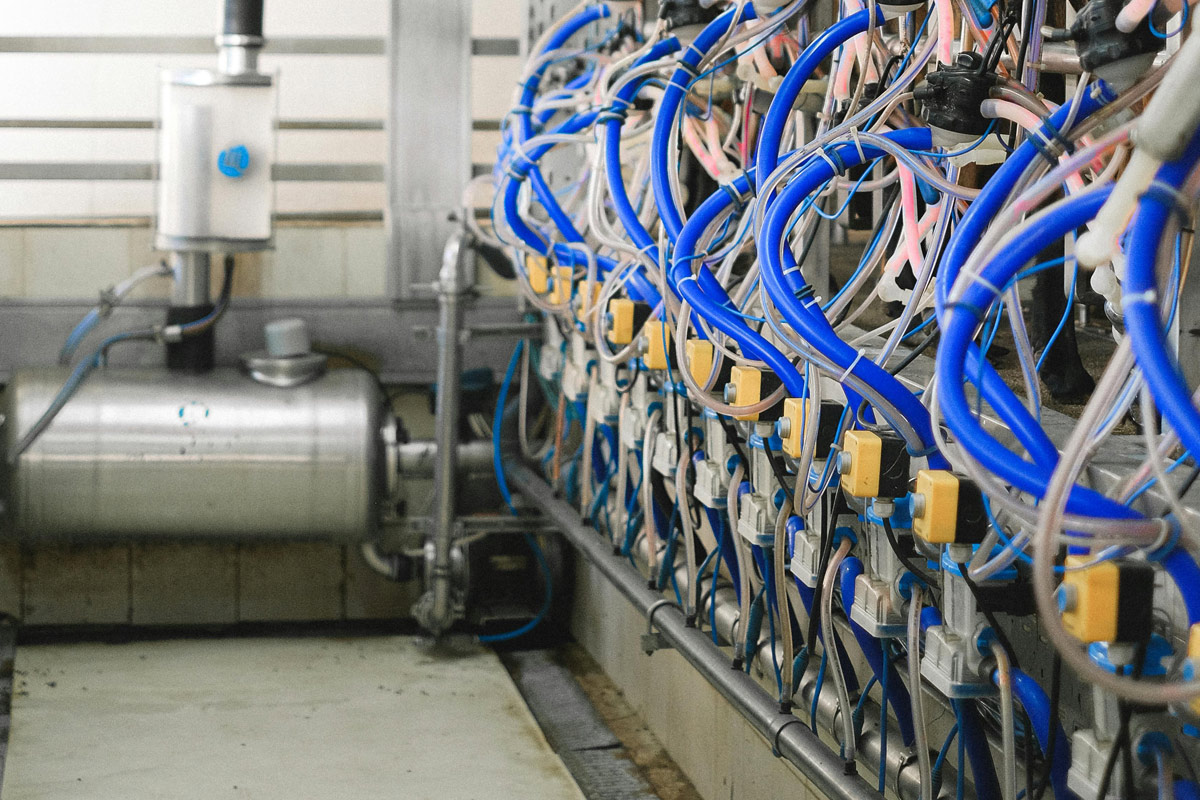 Vulcanization label for rubber hoses