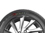Durable Tire Curing Labels for New & Retread Tires